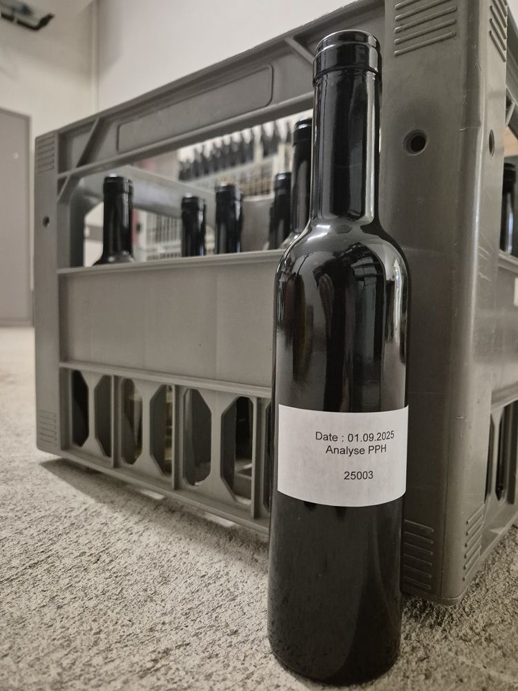 Foo alt-image description