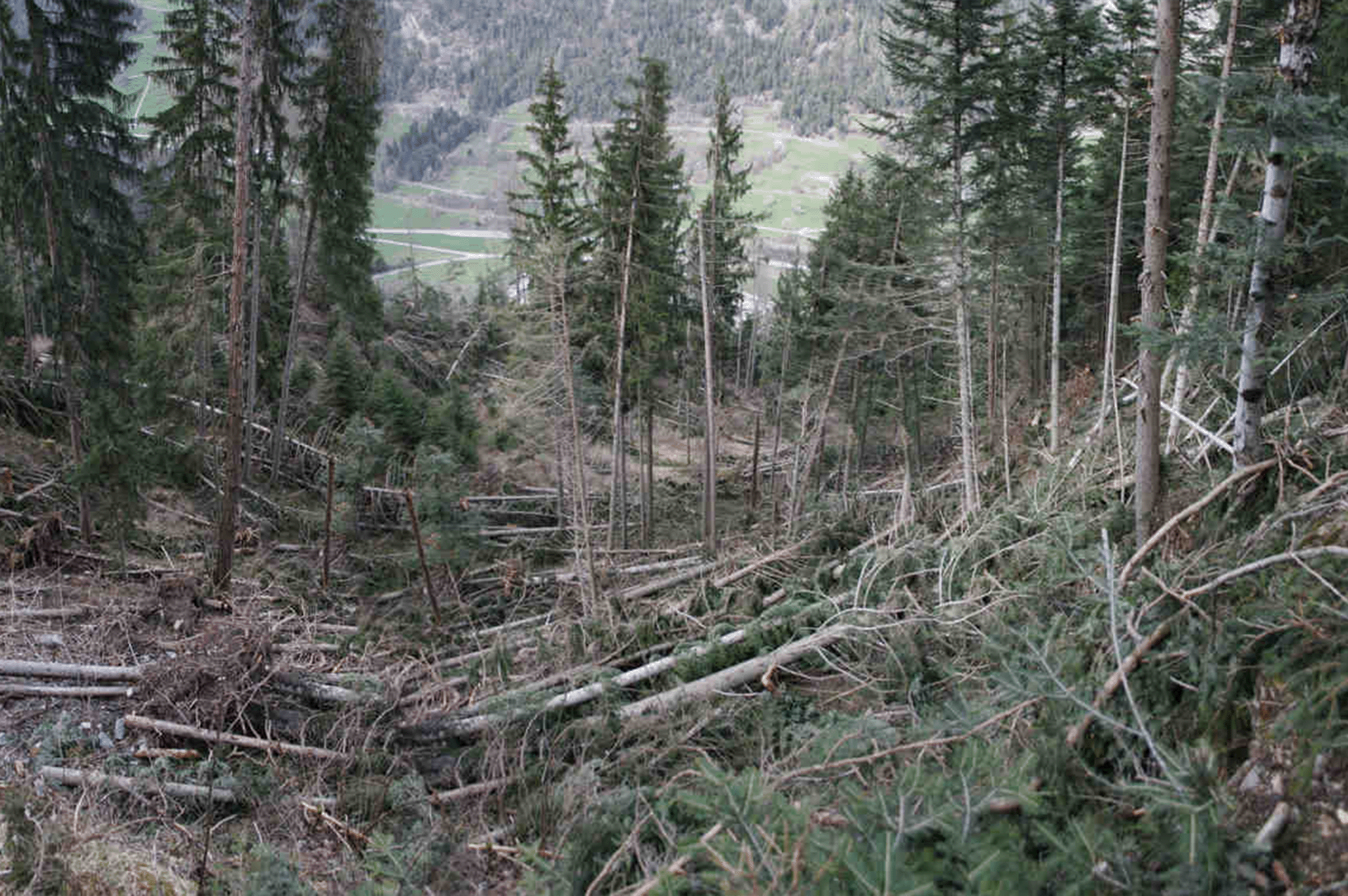 Dégâts ouragan