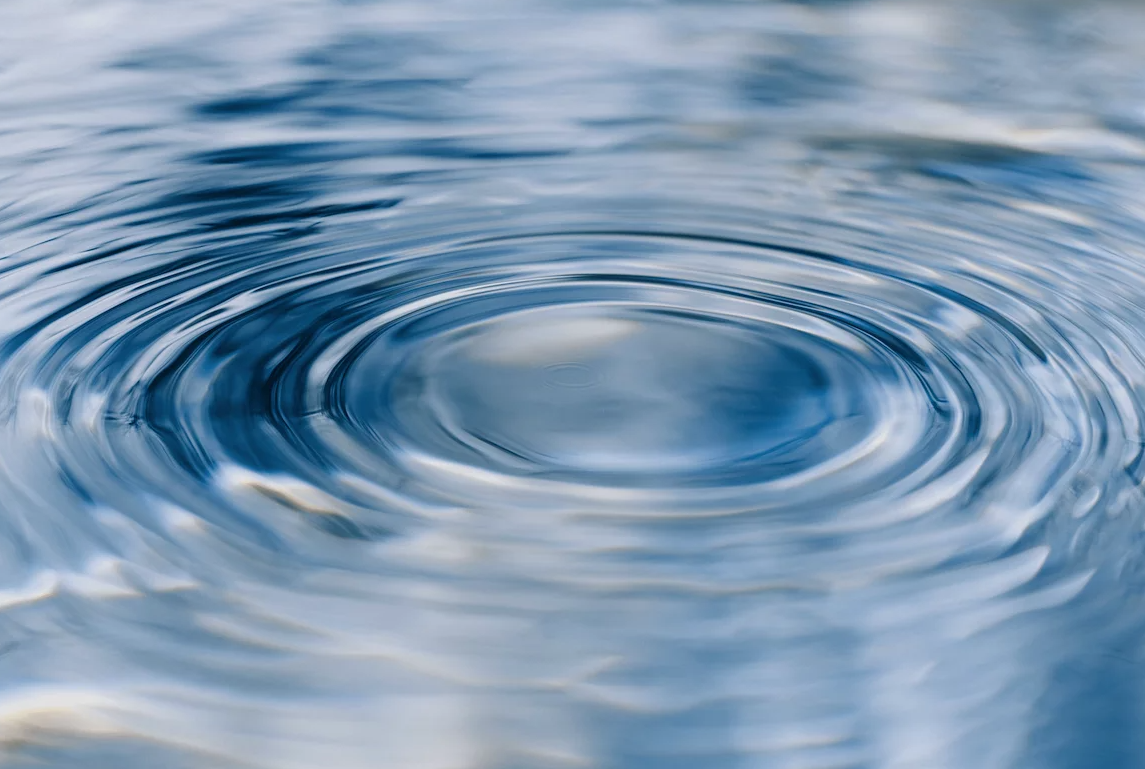 Foo alt-image description