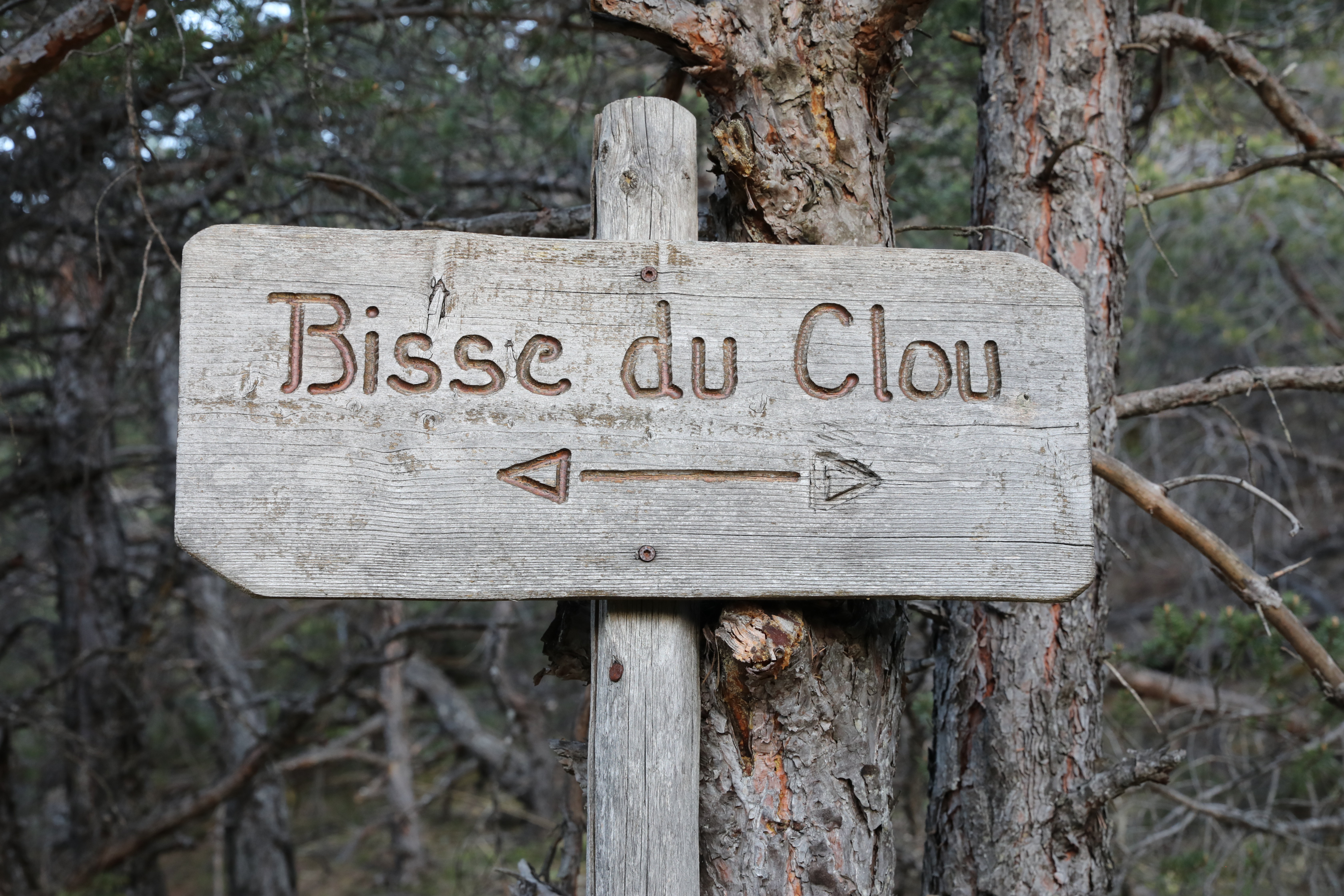 Bisse du Clou