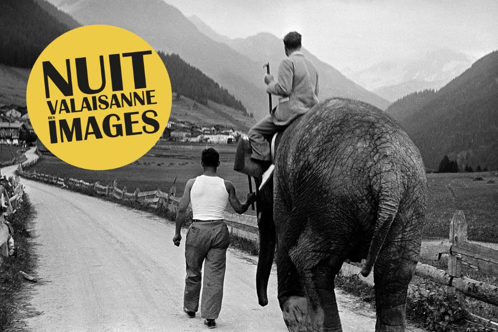 Foo alt-image description